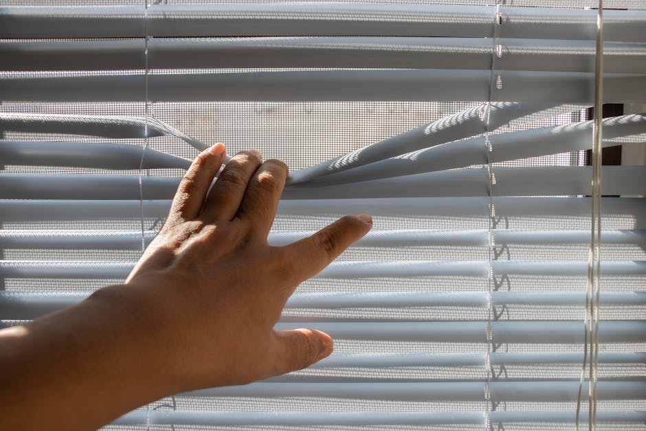 Professional contractor carefully installing custom window blinds